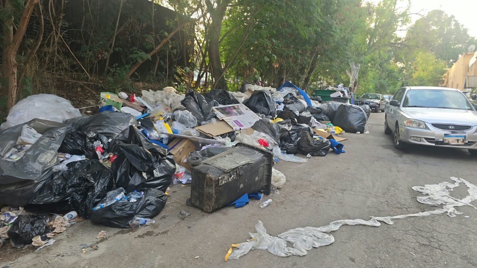 Waste accumulation near Forum de Beyrouth