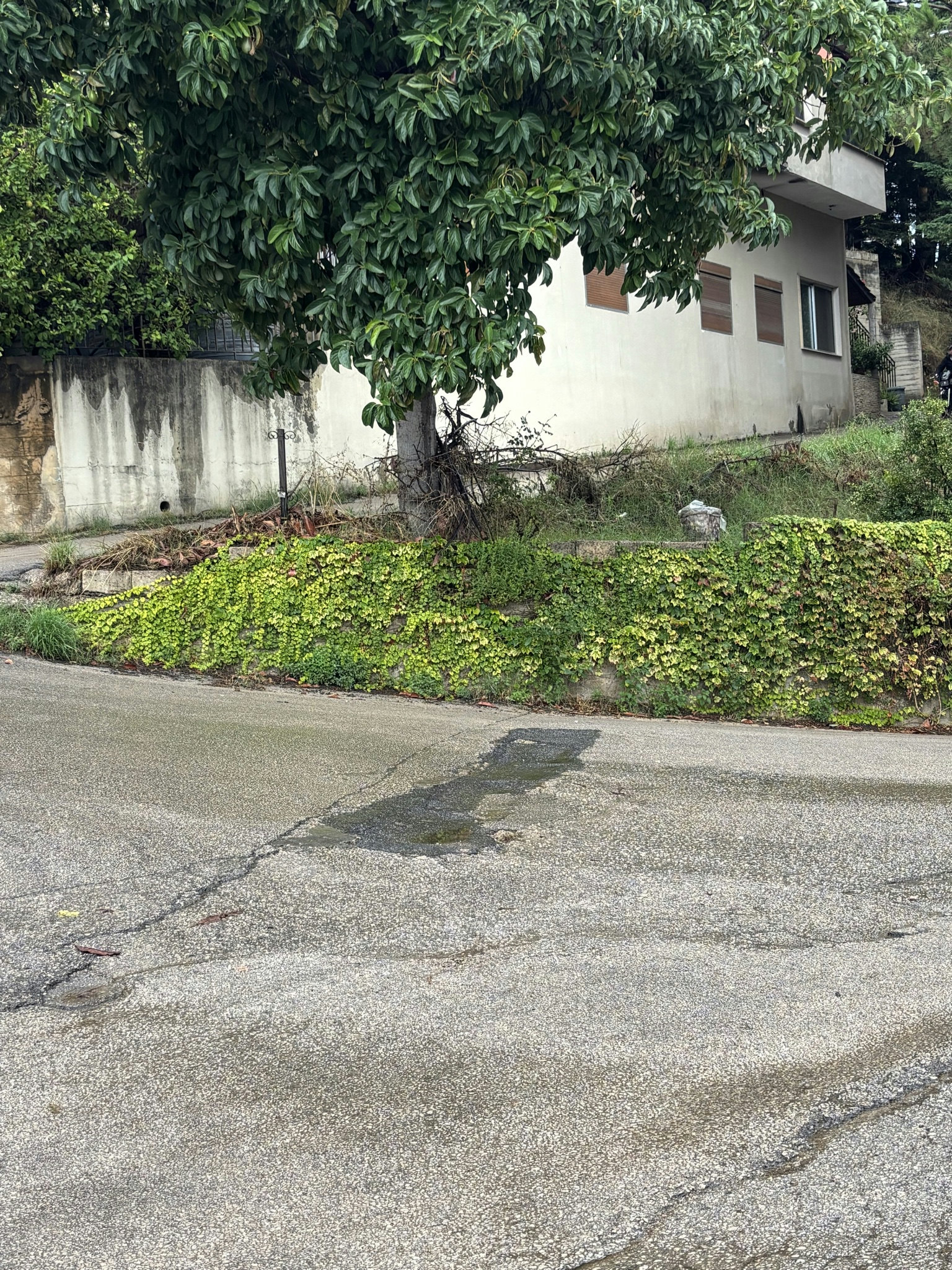 Damaged asphalt patch in Beit Meri