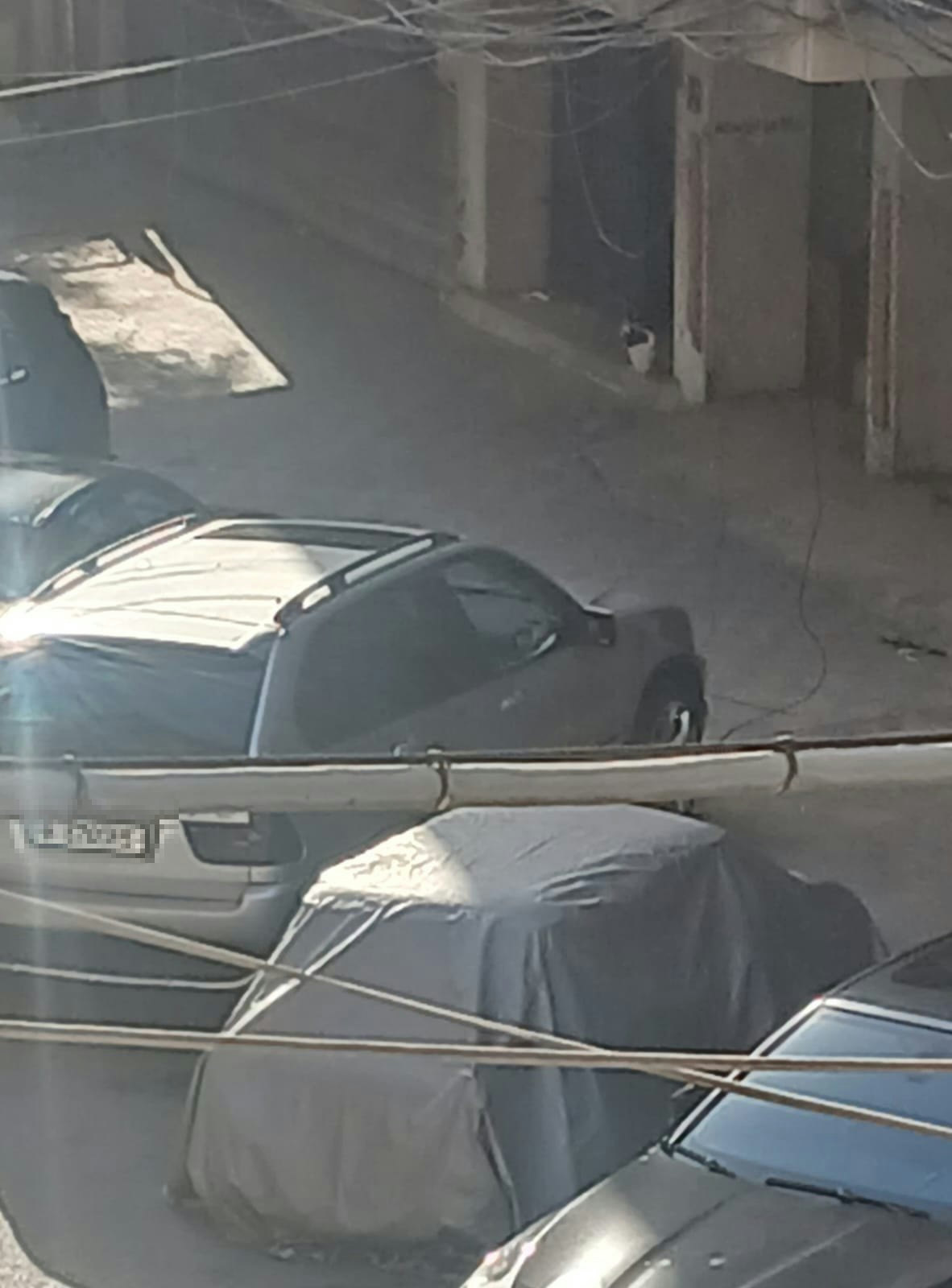 سيارات مركونة من سنين بالشارع المسكّر حد ورد أوركيد، البوشرية